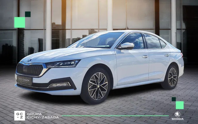 ćmielów Skoda Octavia cena 163150 przebieg: 9500, rok produkcji 2023 z Ćmielów